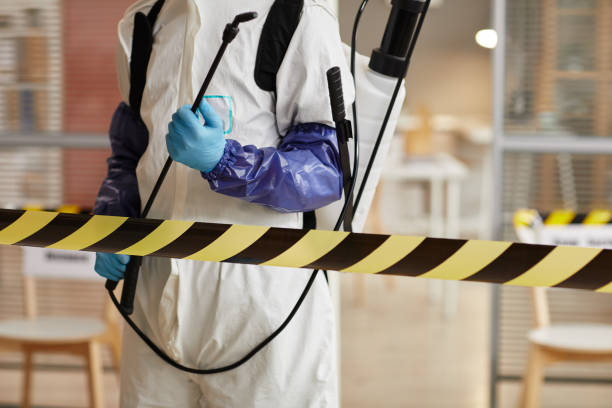 Professional Sewage Cleanup technician working in Roseville, MI